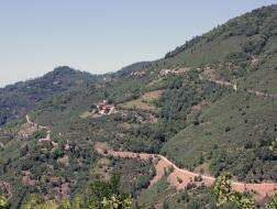 Akgüneyliler 30 Haziran’da Buluşacak