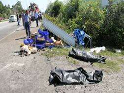 Terme’de Feci Kaza