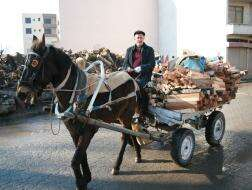 At Arabacılığı Teknolojiye Yenik Düştü