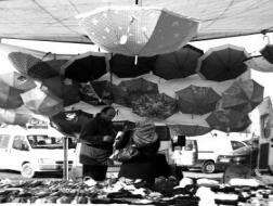 Yağmur Şemsiyecileri Güldürdü