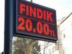 Fındık Kendi Rekorunu Kırdı