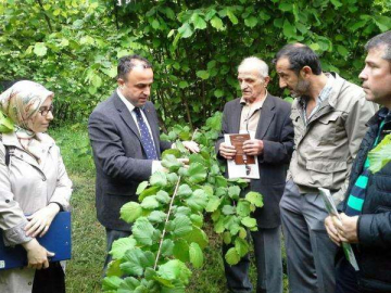 Fındık Hastalık ve Zararlıları Bilgilendirme Toplantısı Yapıldı