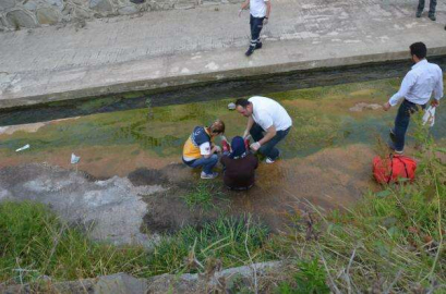 Köpekten Kaçarken Dereye Düşen Kadın Yaralandı
