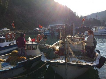 Karadeniz’de 14 Yeni Balık Türü