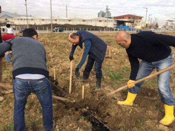 ODÜ’lü Öğrenciler 900 Meyve Fidanı Dikti
