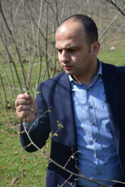 Fındık Ağaçları Karanfil Açmaya Başladı