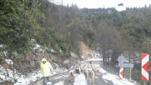 Yaylalar Mayıs’ta Beyaza Büründü