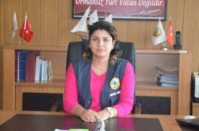 Orman Yollarındaki Tahribat Giderildi