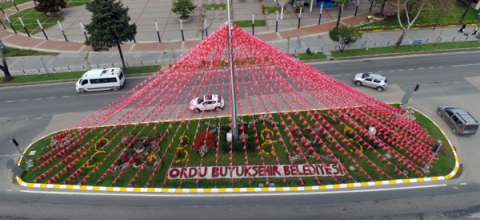 Bahar Yüzünü Gösterdi