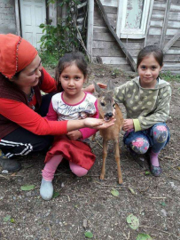 İki Kız Kardeş Yavru Karacayı Köpeklerin Elinden Aldı