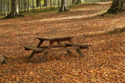 Karadeniz’de Sonbahar Bir Başka Güzel