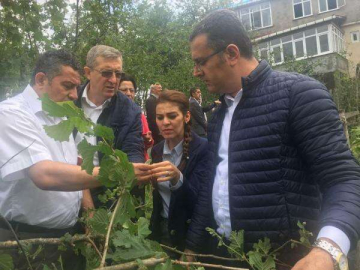 Dolu Yağışı Sonrası Hasar Tespit Çalışmaları Başladı