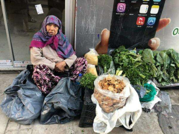 Şerife Teyze Organik Ürünleriyle İşinin Başında