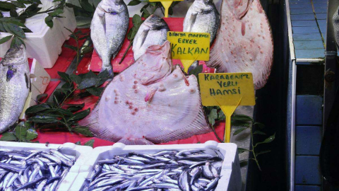 Kalkan Balığının Fiyatı Dudak Uçuklatıyor