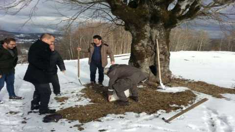 Kışın Ortasında Hayvanlar Unutulmadı