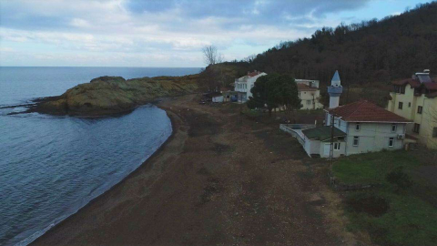 Şaşırtan ‘Timsah Adası’ Havadan Görüntülendi