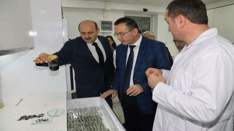 ODÜ-Ordu Arıcılık Araştırma Enstitüsü İş Birliği