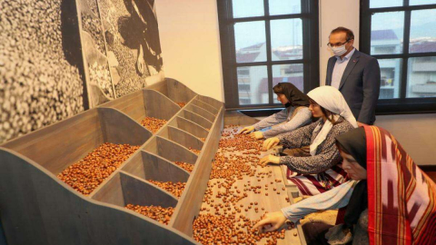 Fındığın Öyküsü Müzesi’nde incelemeler