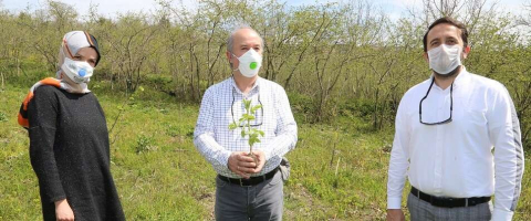 ‘Kara Mürver’ Yetiştirme Çalışmaları Devam Ediyor