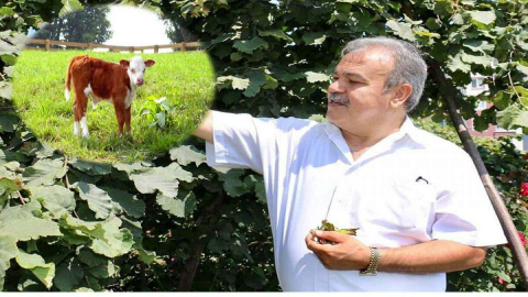 Çiftçilere Destek ödemeleri Başladı