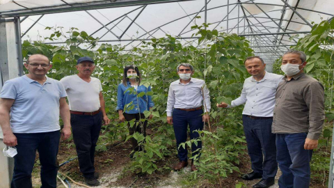 İlçeler Üretimin Merkezi Oldu