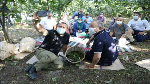 Fındık Hasadı Başladı