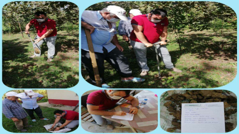 Fındık Üreticilerine Toprak Analizi Yaptırın Çağrısı