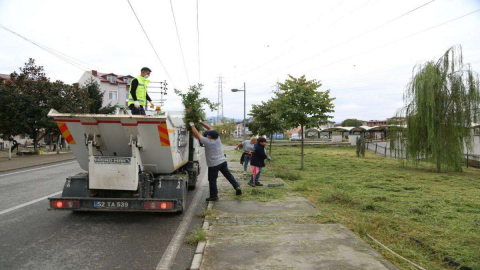 Ordu’da Sonbahar Temizliği