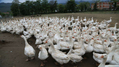Başkan Güler Bire Dört Kazandırdı!