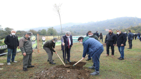 Fatsa’da Ağaçlandırma Seferberliği