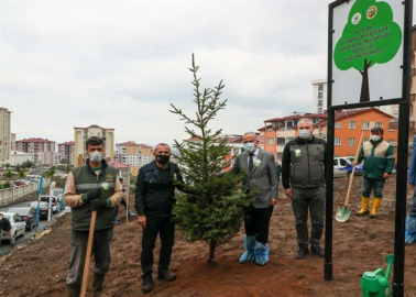 Milli Ağaçlandırma Günü’nde Fidan Dikimi Yapıldı