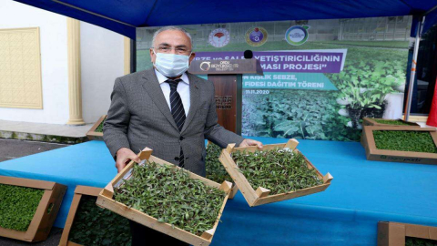 Ordu’da Salep Atağı