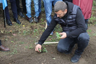 Salep Üretimi Başlıyor
