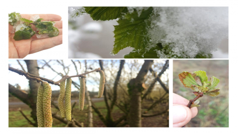 Fiskobirlik’ten Ortaklarına Ürün Sigortası Kampanyası