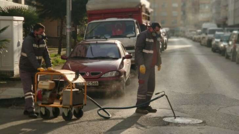 Vektörle Mücadeleye Uluslararası Eğitim