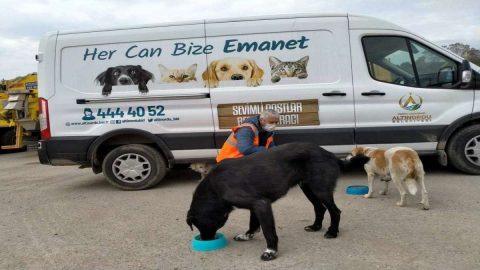 Altınordu Belediyesi Her Koşulda Can Dostlarının Yanında