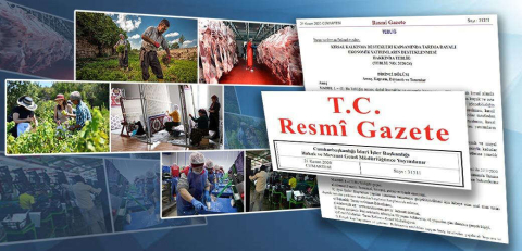 Tarıma Dayalı Yatırımların Desteklenmesine İlişkin Hususlar Belirlendi