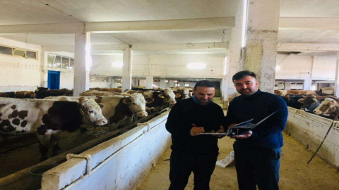 Hayvan Bakım Oteli Talebe Yetişemiyor