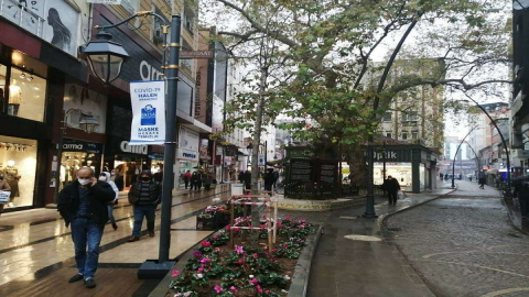 Asırlık Çınar Ağacının Yanına Yeni Bir Çınar Fidanı Dikildi