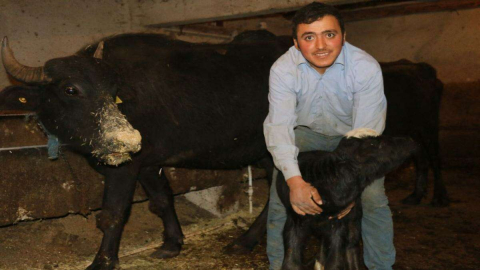 Hayvancılık Yüz Güldürüyor