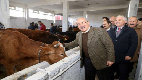 Hayvancılık Artık Daha Kolay