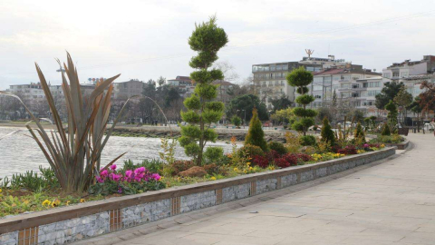 Altınordu Sahili Yeşillendi