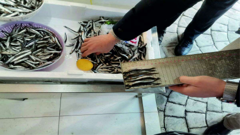 Balık Tezgahları Denetleniyor
