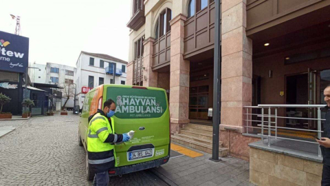 Yaralı Martı’ya Büyükşehir Şefkati