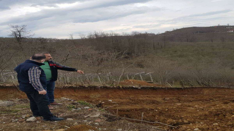 Fatsa’nın En Büyük Mantar Üretim Tesisi Tepecik'te Kuruluyor
