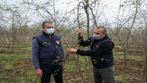 Vali Sonel, “Fındıkta Verimi ve Kaliteyi Artırmak İçin Birçok Proje Uyguluyoruz”
