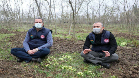 Ordu’ya 10 Tarım Projesi Onaylandı