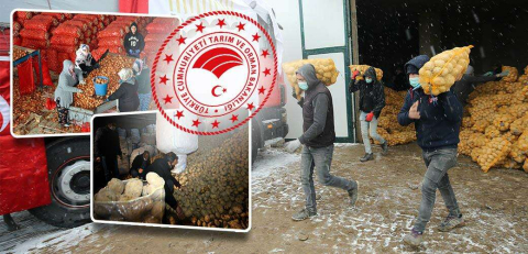 Üreticilerimizden Patates ve Kuru Soğan Alımına Başlanmıştır