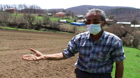 Ordu’nun Atıl Arazileri Yeniden Tarımla Buluştu