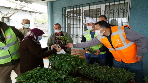 Tarımsal Üretime 52.000 Ücretsiz Fide ile Destek